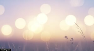 Pleasant background image