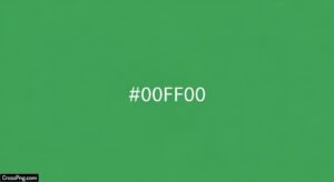 Png green background image 2