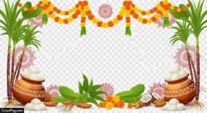 Pongal background png image
