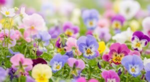 Pretty flower background image 3