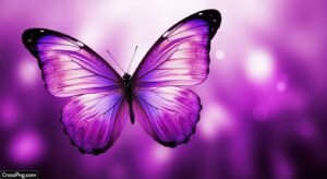 Purple butterfly background image