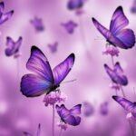 Purple butterfly background image