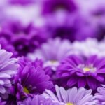 Purple flower background image 2