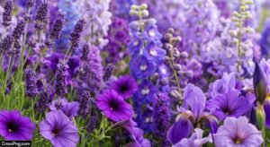 Purple flower background image 6