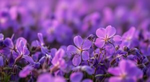 Purple flowers background image 4