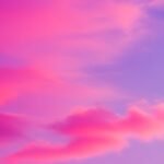 Purple pink background image 4
