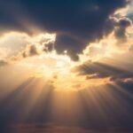Rays background image 2