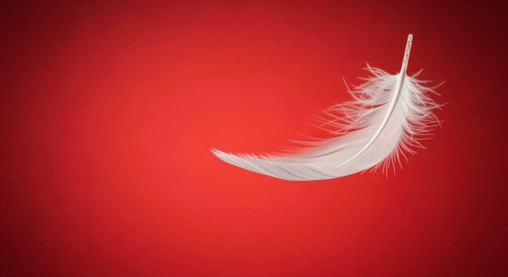 Red background white image 4