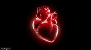 Red heart black background image 2