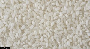 Rice background image 2