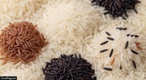 Rice background image