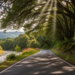 Road nature background image 2