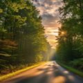 Road nature background image