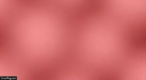 Rose colour background image