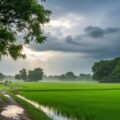 Sawan background image