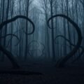 Scary forest background