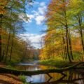 September background image