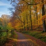 September background image 4
