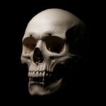 Skull black background image