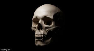 Skull black background image