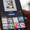 Snapseed background download image