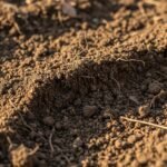 Soil background image