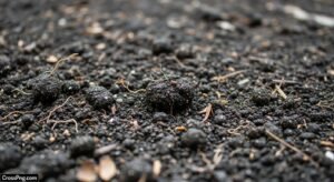 Soil background image