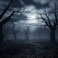 Spooky forest background