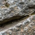 Stone background image