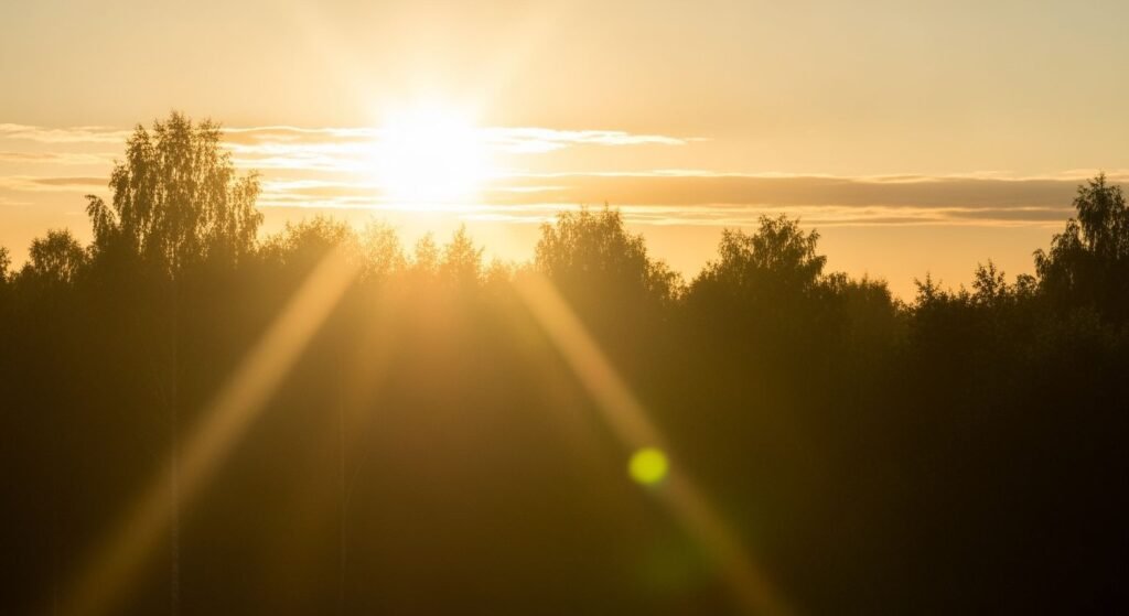 Sunny background image 2