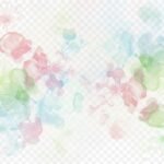 Transparent flower background image 4