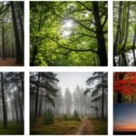 Tree background images image 2