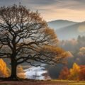 Tree photo background image