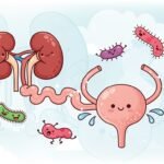 Urinary tract cute art background image 3