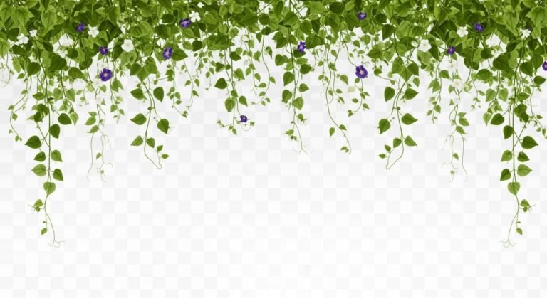 Vine top border transparent image 4