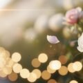 Wedding background video image