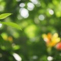 Whatsapp background wallpaper hd