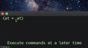 Which command is used for running jobs in the image