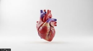 White background heart image