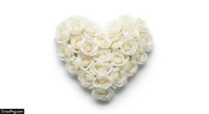 White background heart image 2