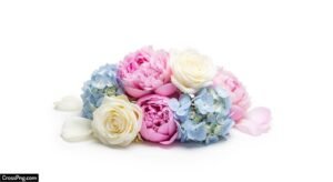 White background with flowers image