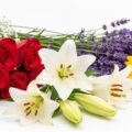 White background with flowers