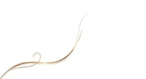 White background with laender accent image