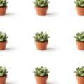 White background with