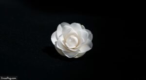 White flower black background image 3