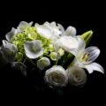 White flowers on black