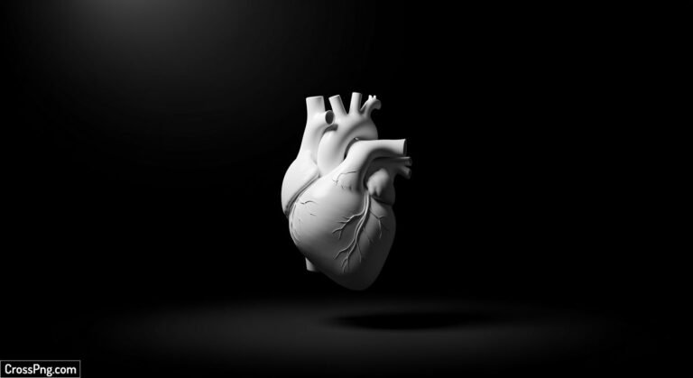 White heart in black background image 3