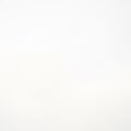 White sky background image