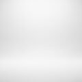 White vinyl pvc