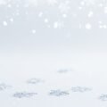 White xmas background image